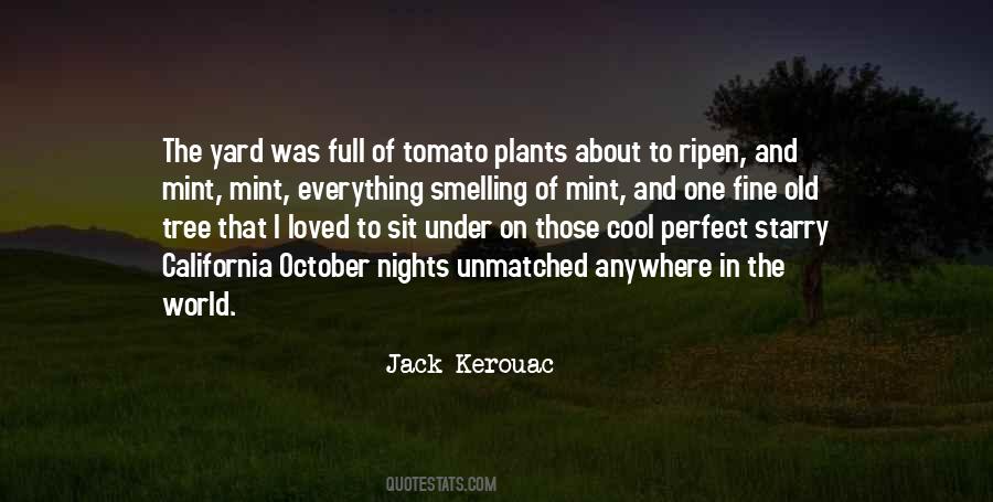 Everything Was Perfect Quotes #1842140