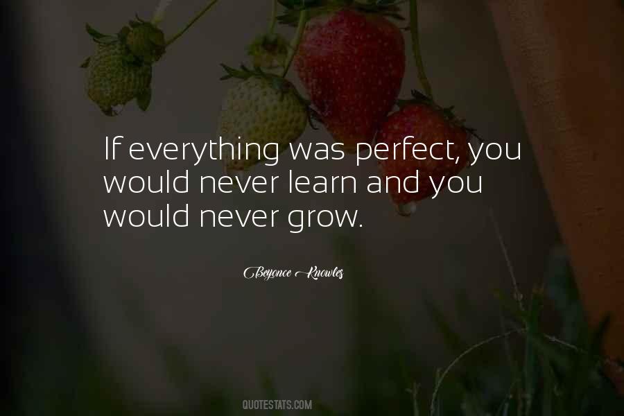 Everything Was Perfect Quotes #675972