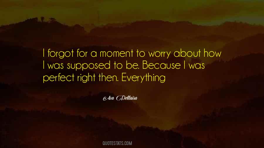 Everything Was Perfect Quotes #900185