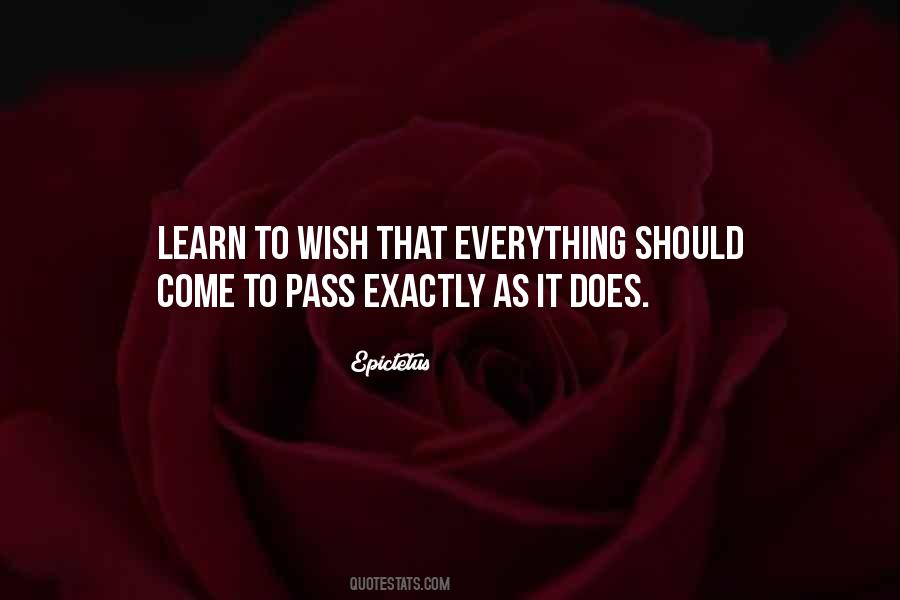 Everything Will Pass Quotes #1299466