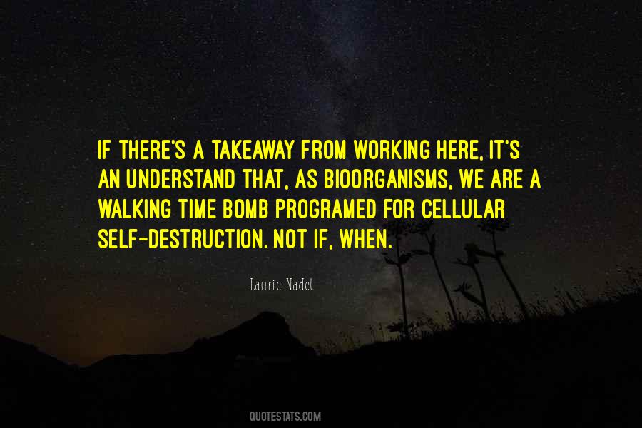 Quotes About Someone Walking Into Your Life #38484