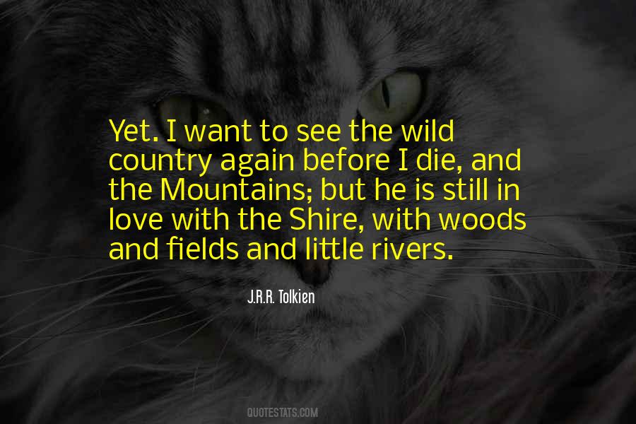 Quotes About Mountains Love #1041209
