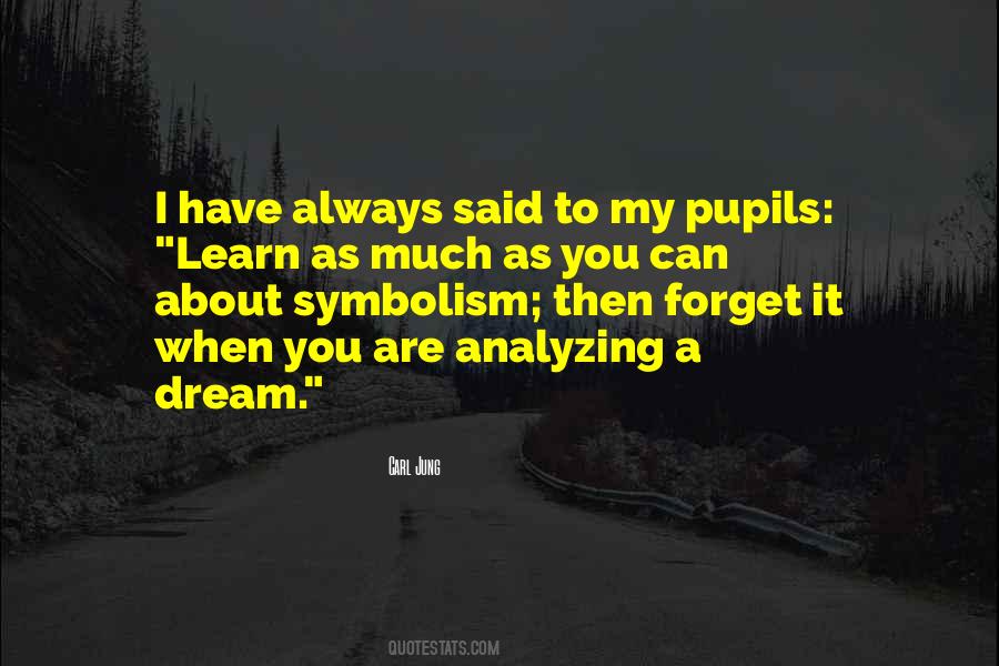 When You Have A Dream Quotes #1115134