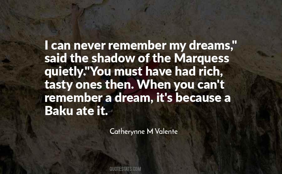 When You Have A Dream Quotes #1133333