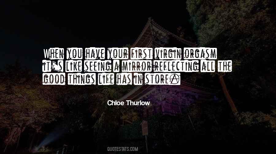 When You Have A Dream Quotes #293551