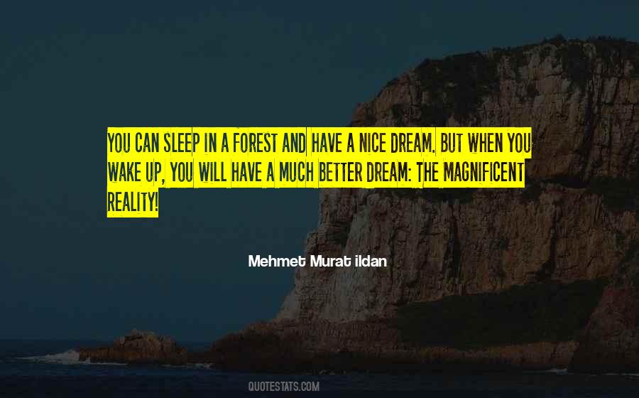 When You Have A Dream Quotes #607290