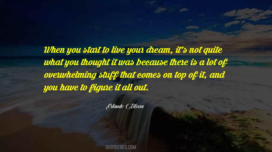 When You Have A Dream Quotes #684296