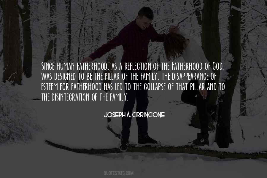 Family Reflection Quotes #1525854