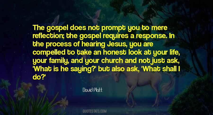 Family Reflection Quotes #255961