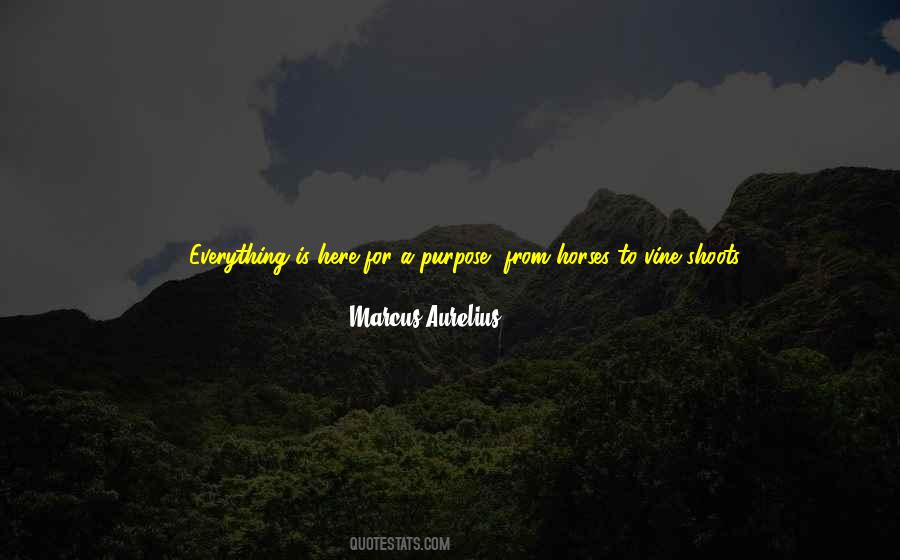 Born For A Purpose Quotes #1476439