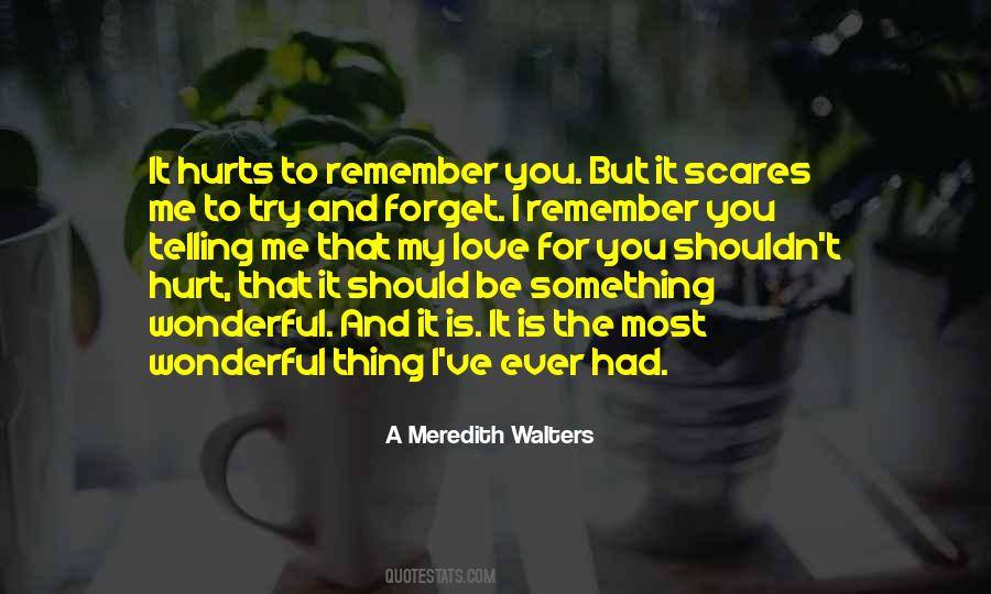 It Hurts To Remember Quotes #1597491