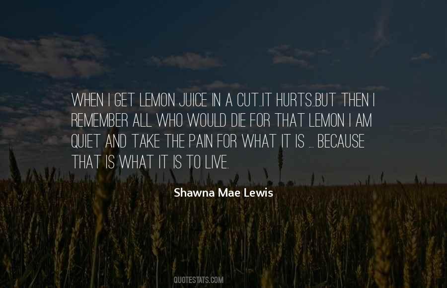 It Hurts To Remember Quotes #816224