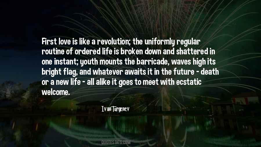 Love Welcome Quotes #871498