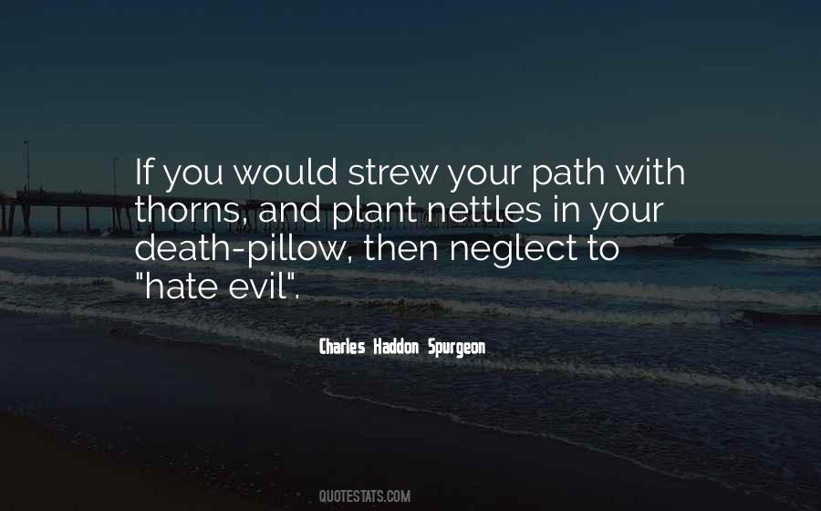 Evil Hate Quotes #258193