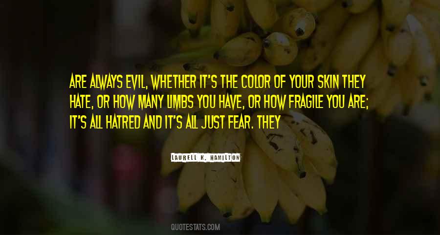 Evil Hate Quotes #740922