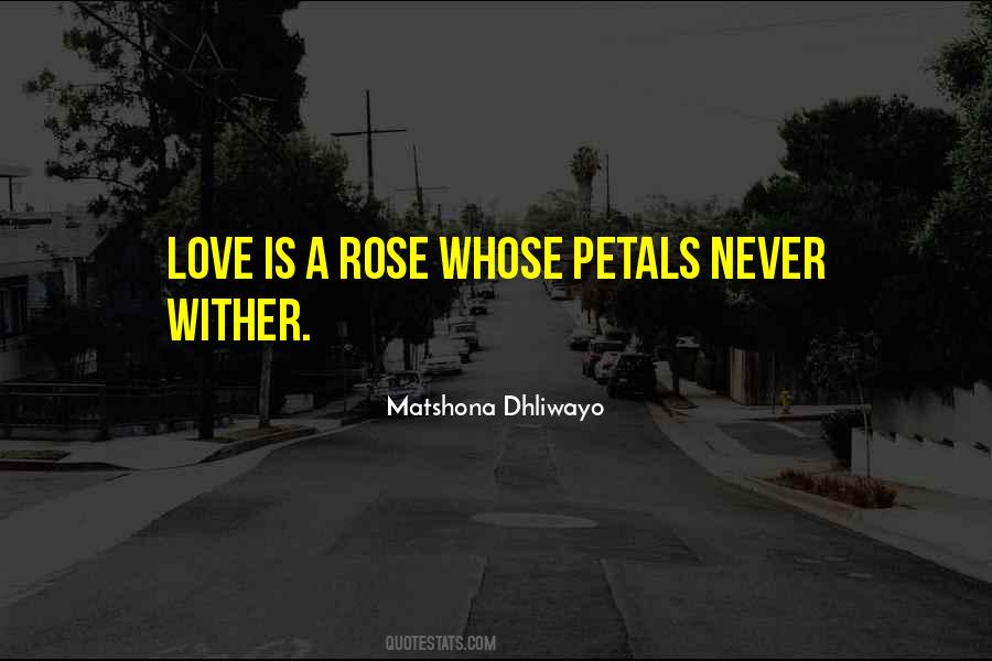 Love Is A Rose Quotes #1014319