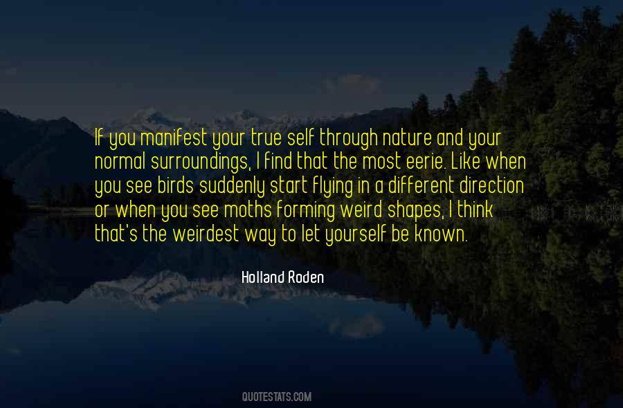 Find Your Direction Quotes #674601