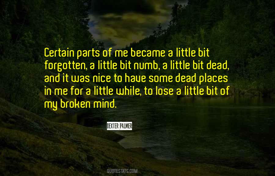 Just A Little Broken Quotes #642346