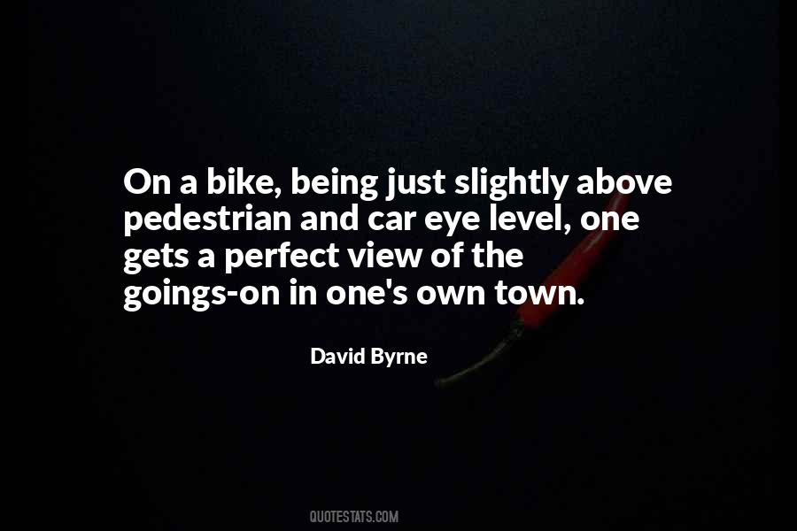 The Perfect View Quotes #1480875