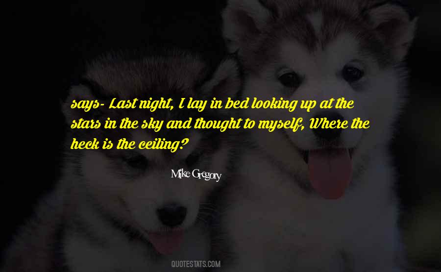 Looking Up The Sky Quotes #1429539