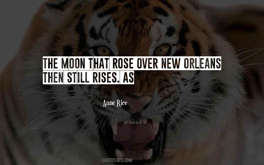 The Rice Quotes #57416