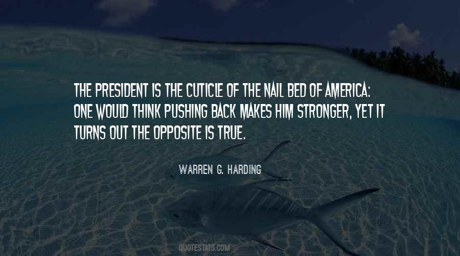President Of America Quotes #588380