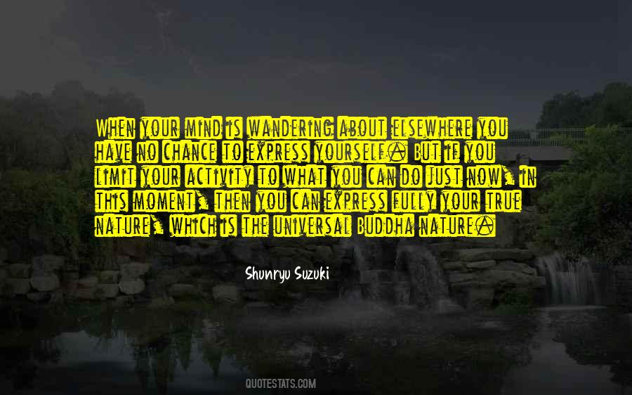 The Mind Is The Limit Quotes #1458876
