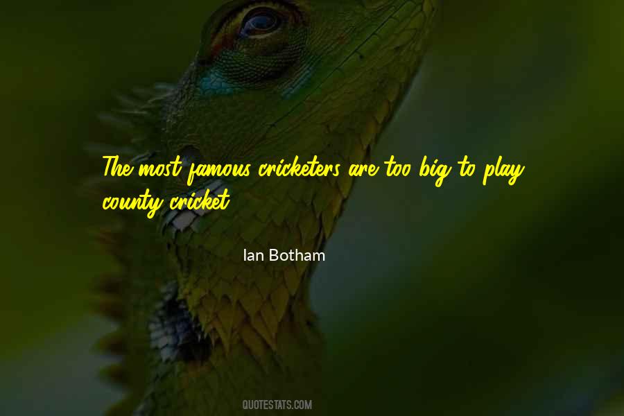 Play Cricket Quotes #159739