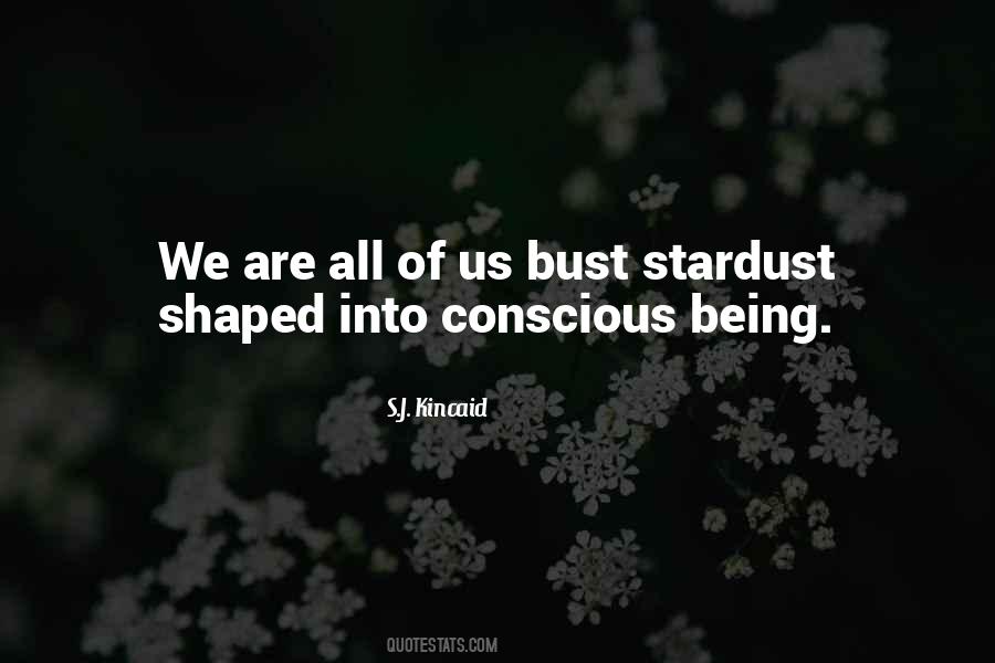We Are All Stardust Quotes #1309404