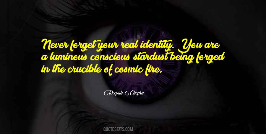 We Are All Stardust Quotes #300289