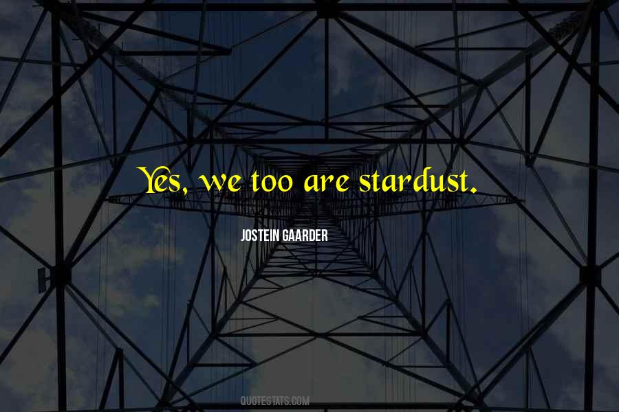 We Are All Stardust Quotes #668059