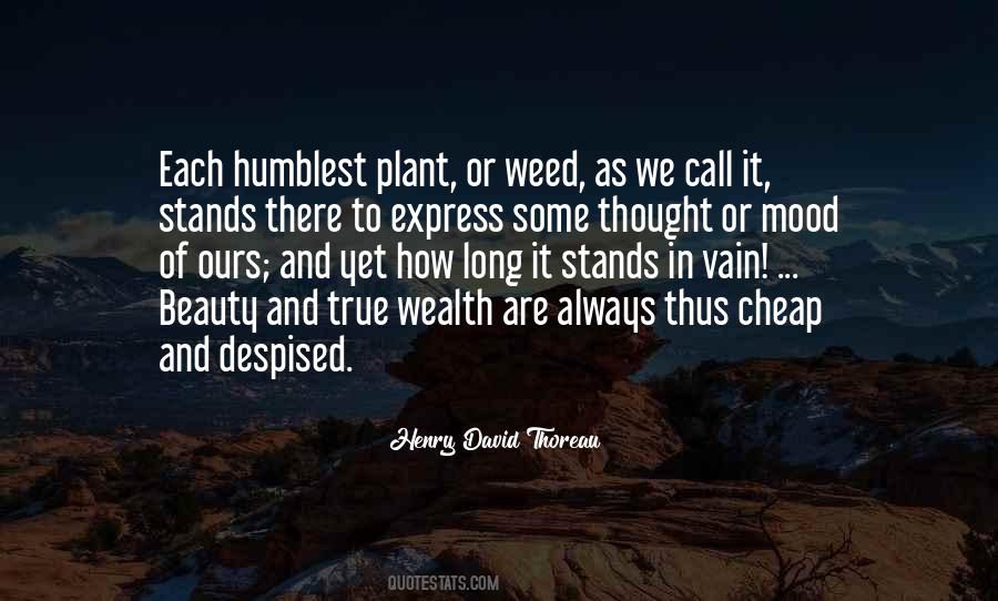 Quotes About Humblest #245701