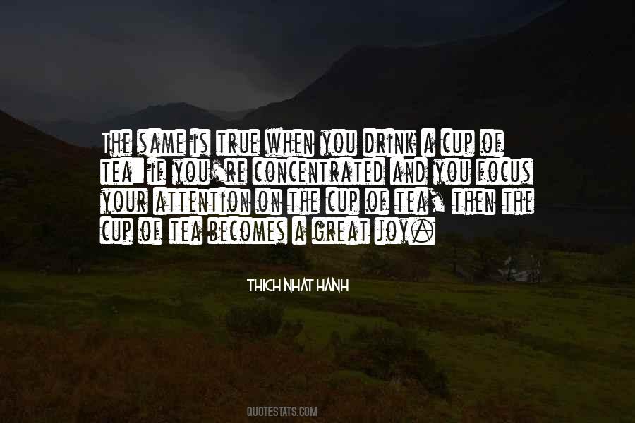 Focus On Joy Quotes #786834