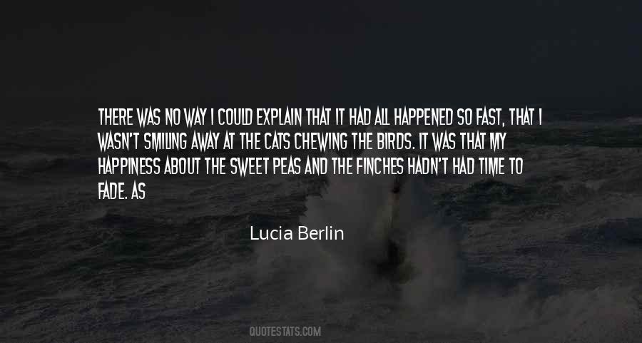 No Time To Explain Quotes #1692257
