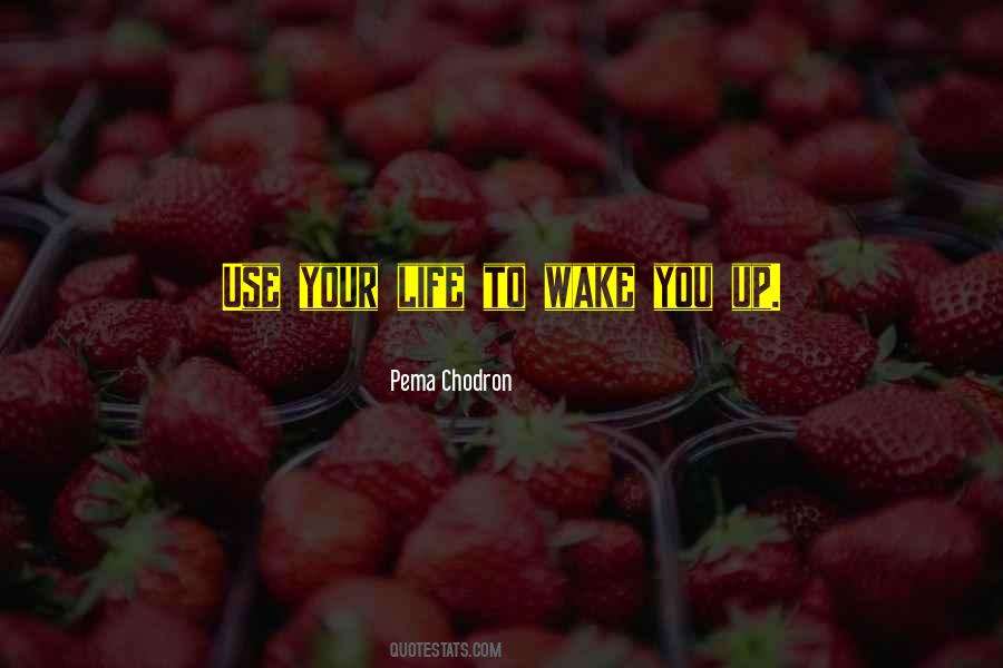 You Might Wake Up Quotes #31719