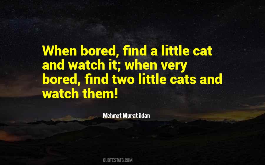 Little Cat Quotes #1533748