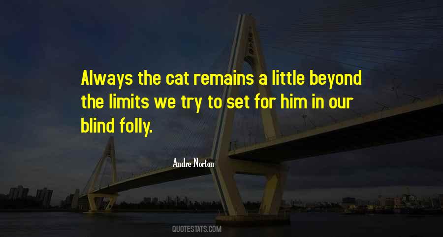 Little Cat Quotes #527996