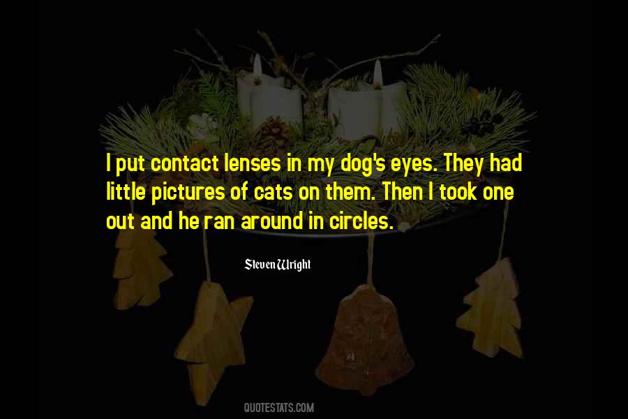 Little Cat Quotes #795364