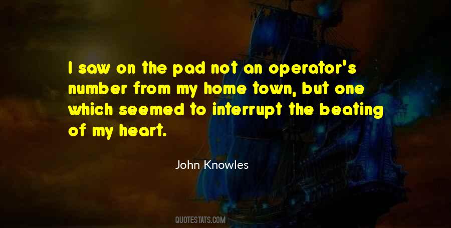 A Separate Peace John Knowles Quotes #1238780