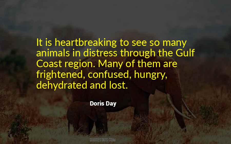 Hungry Animal Quotes #1082509