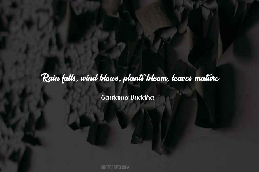 Blown By The Wind Quotes #373366