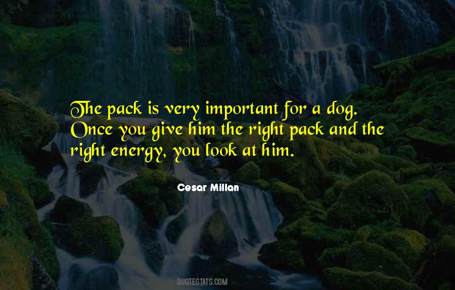 The Right Energy Quotes #603417