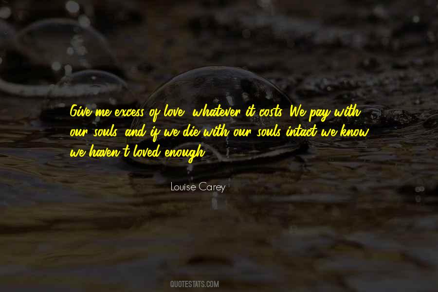 Excess Of Love Quotes #240288