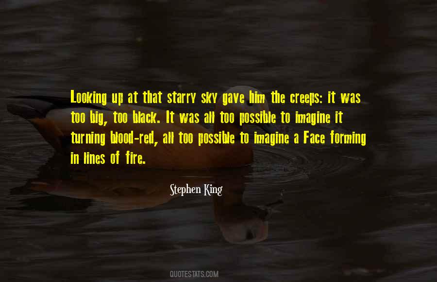 Quotes About Looking Up In The Sky #103662