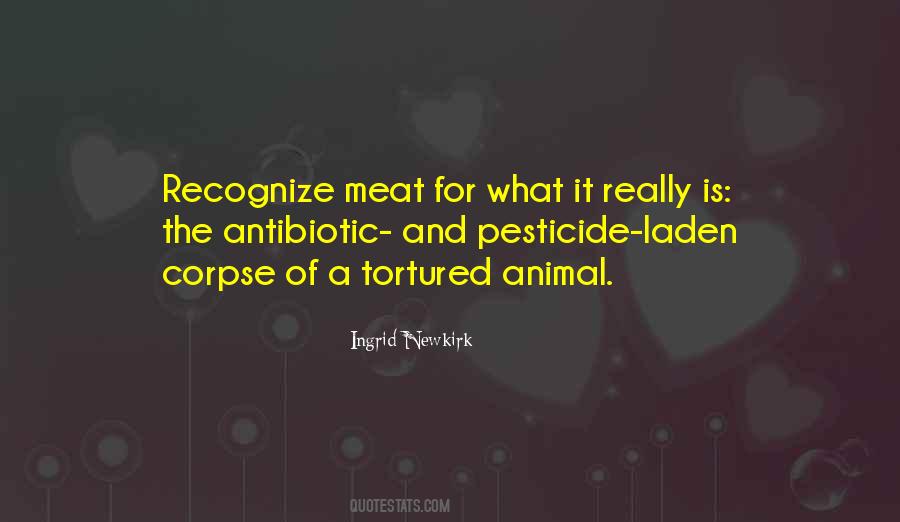 What Is Food Quotes #1646673