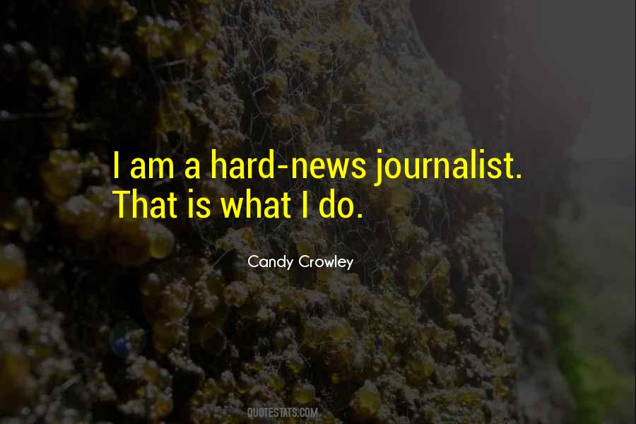 I Am A Journalist Quotes #986522