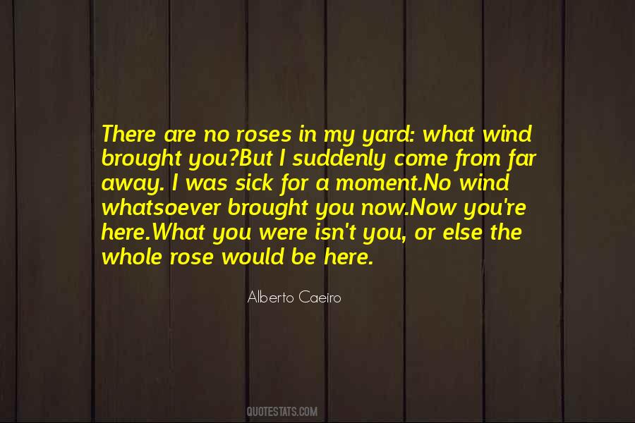 Roses Are Quotes #340337