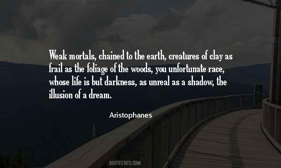 Shadow Darkness Quotes #690968