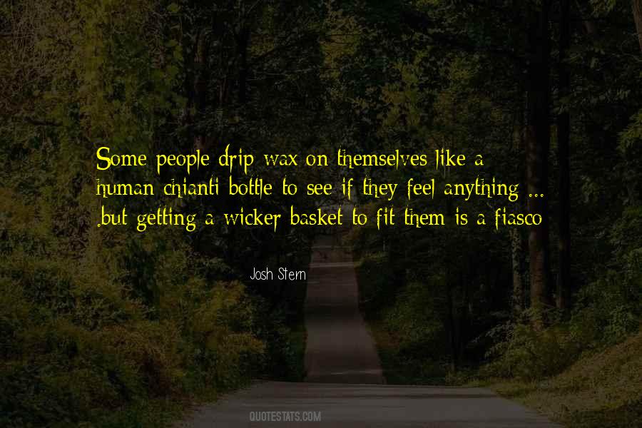 Feel Crazy Quotes #1072284