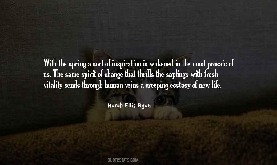 New Spirit Quotes #520144
